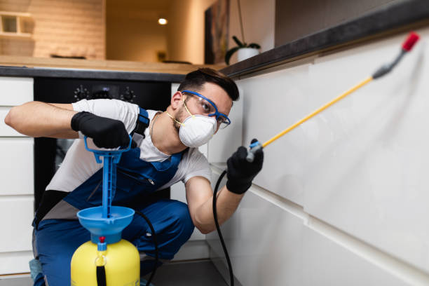 Professional Pest Control in Yalaha, FL