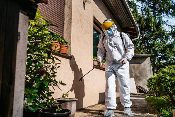 Best Pest Control Near Me in Yalaha, FL