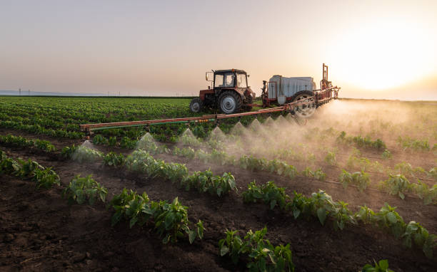 Best Insect Control  in Yalaha, FL