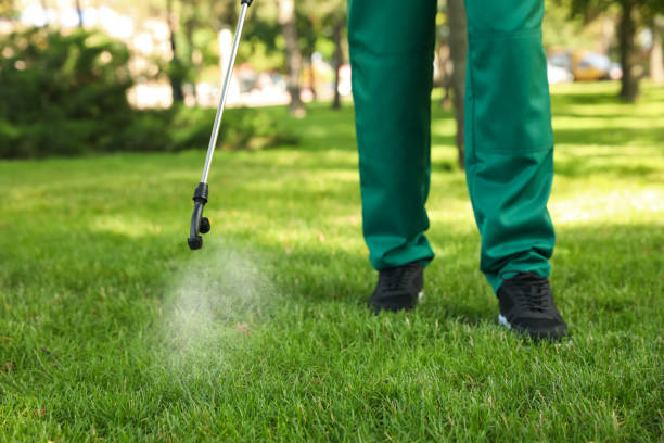 Best Pest Prevention Services  in Yalaha, FL