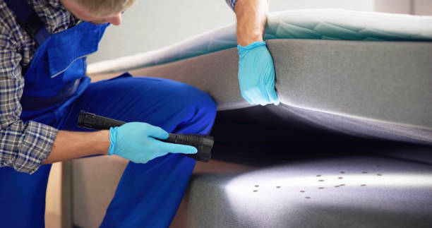 Best Termite Control Services  in Yalaha, FL