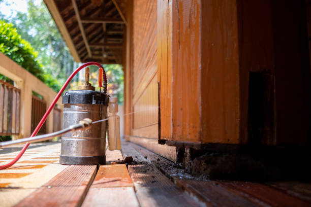 Best Exterminator Services  in Yalaha, FL