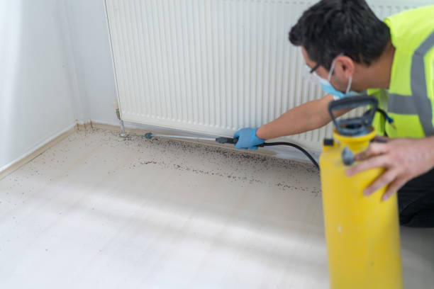 Best Affordable Pest Control Services  in Yalaha, FL
